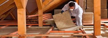 Best Basement Insulation  in Laingsburg, MI